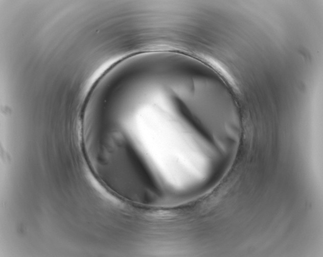 X0000090881476200708101336