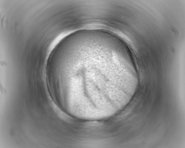 X0000090881478200708101336