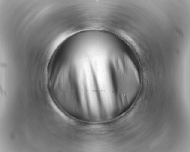 X0000090881479200708101336