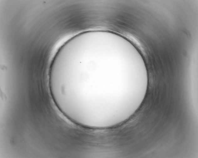 X0000090881480200708101336