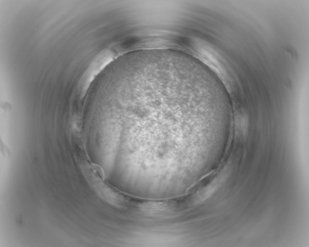 X0000090881481200708101336