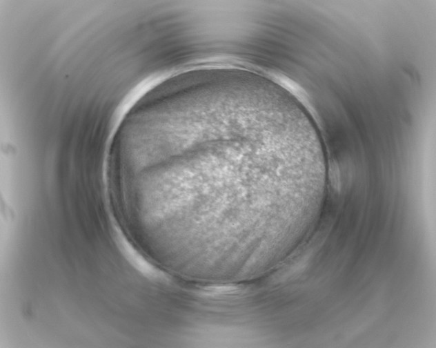 X0000090881482200708101336