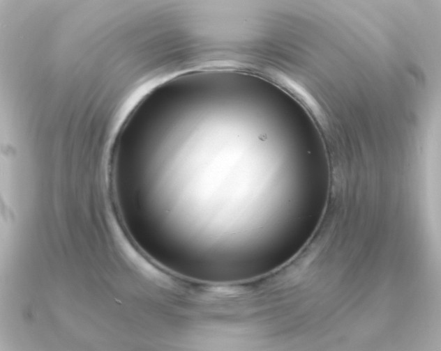 X0000090881483200708101336