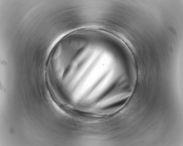 X0000090881484200708101336