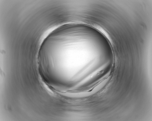 X0000090881485200708101336