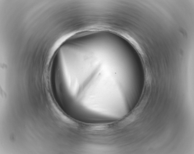 X0000090881486200708101336