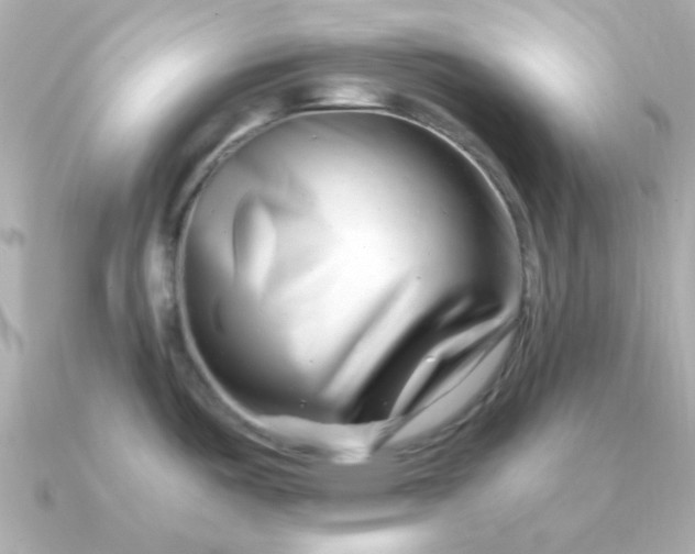 X0000090881487200708101336