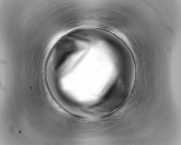 X0000090881488200708101336