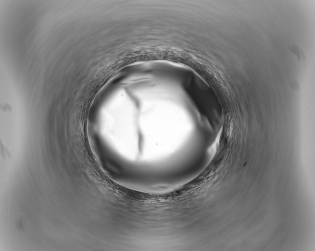 X0000090881489200708101335