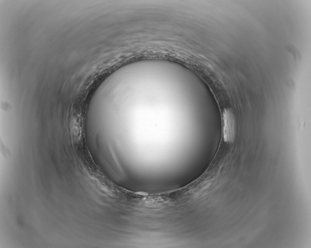 X0000090881491200708101335