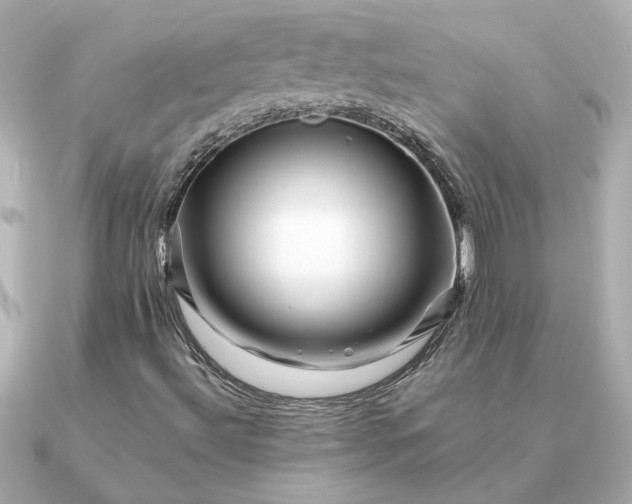 X0000090881492200708101335