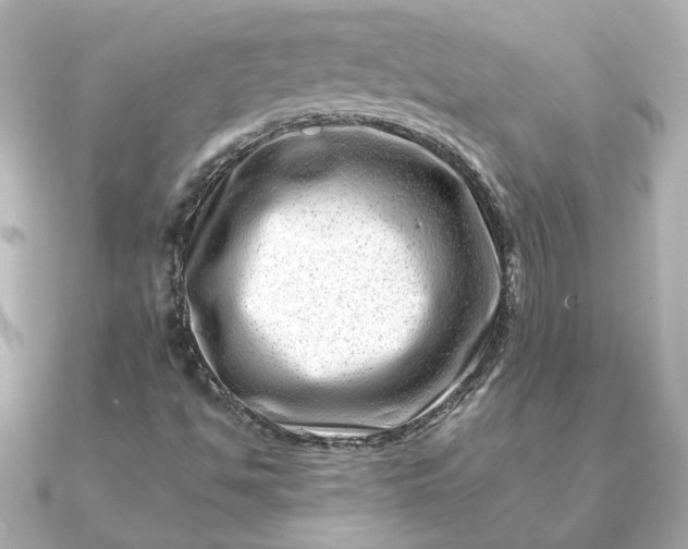 X0000090881494200708101335