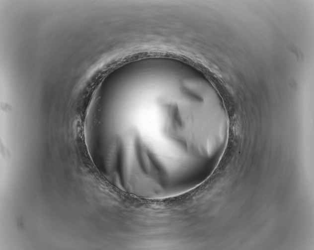 X0000090881495200708101335