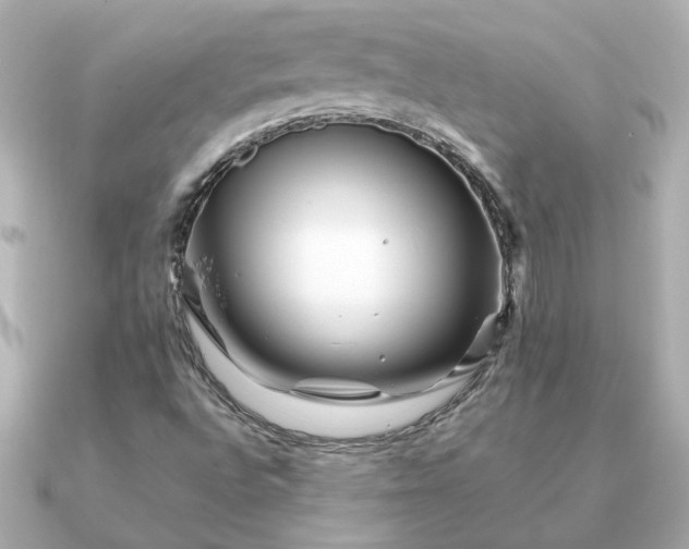 X0000090881496200708101335