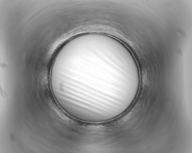 X0000090881498200708101335