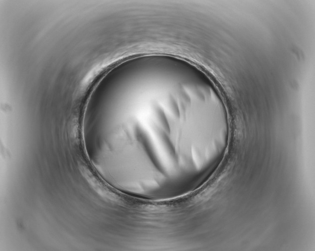 X0000090881499200708101335