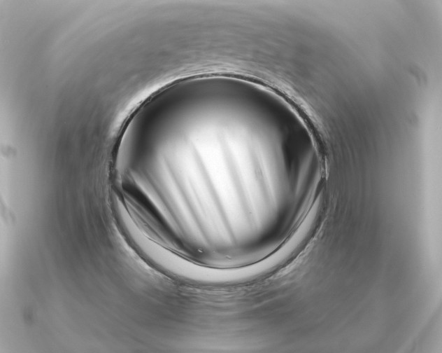 X0000090881500200708101335