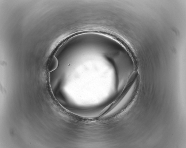 X0000090881501200708101335