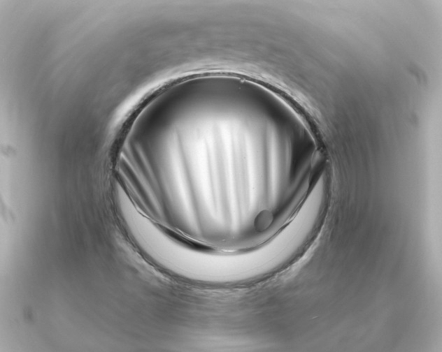 X0000090881502200708101335