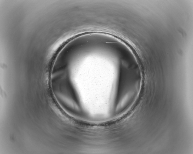 X0000090881503200708101335