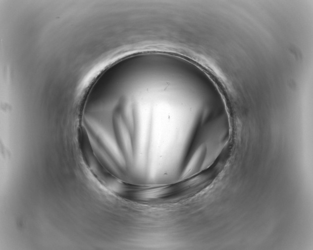 X0000090881504200708101335