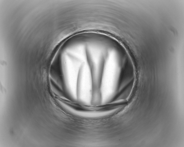 X0000090881505200708101335