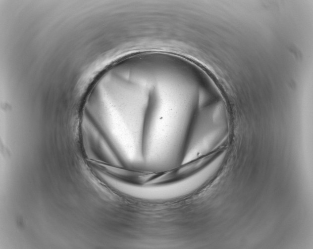 X0000090881507200708101335