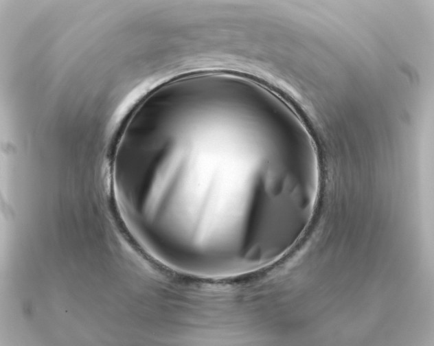 X0000090881509200708101335