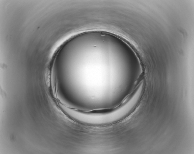 X0000090881510200708101335