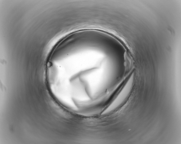 X0000090881511200708101335