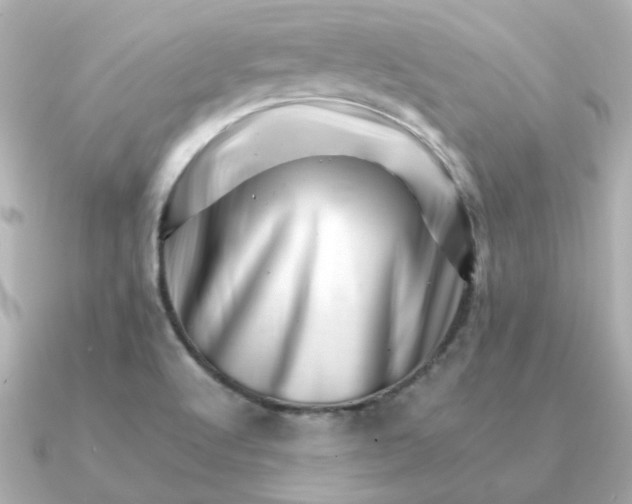 X0000090881512200708101335