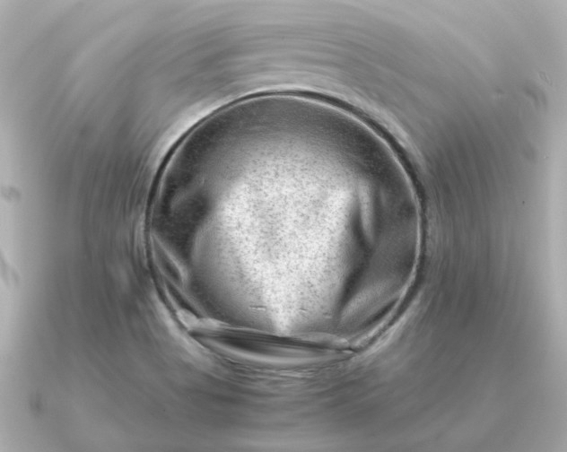 X0000090881513200708101335