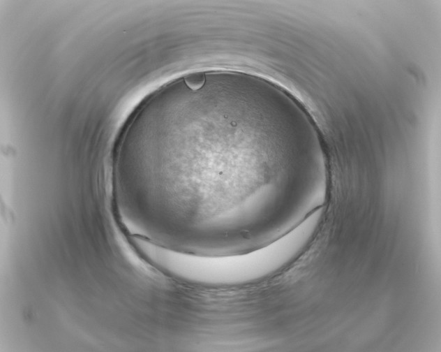 X0000090881515200708101335