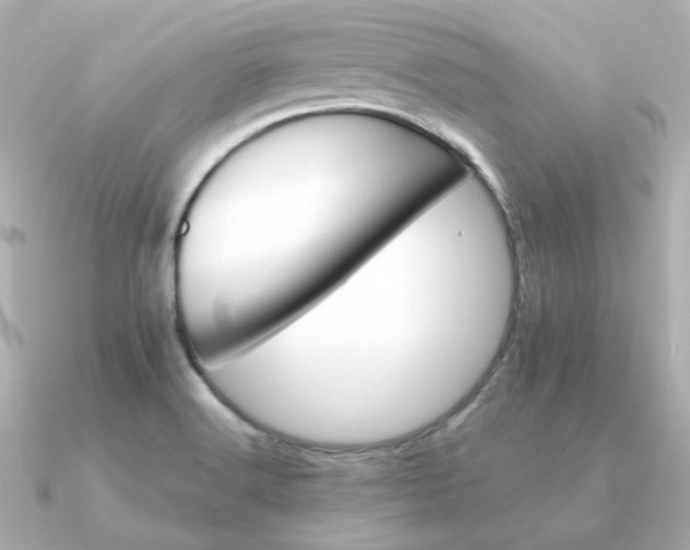 X0000090881516200708101335