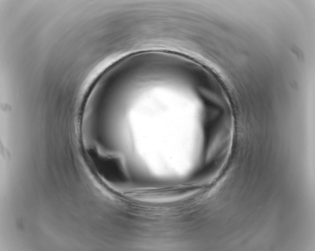 X0000090881517200708101335