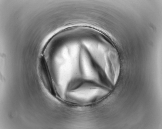 X0000090881518200708101335