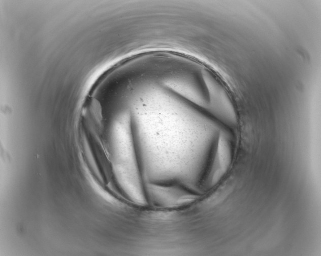 X0000090881519200708101335