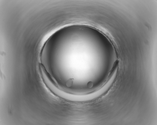 X0000090881520200708101335