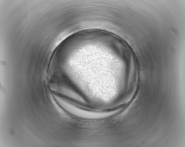 X0000090881521200708101335