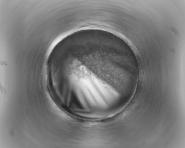 X0000090881522200708101335