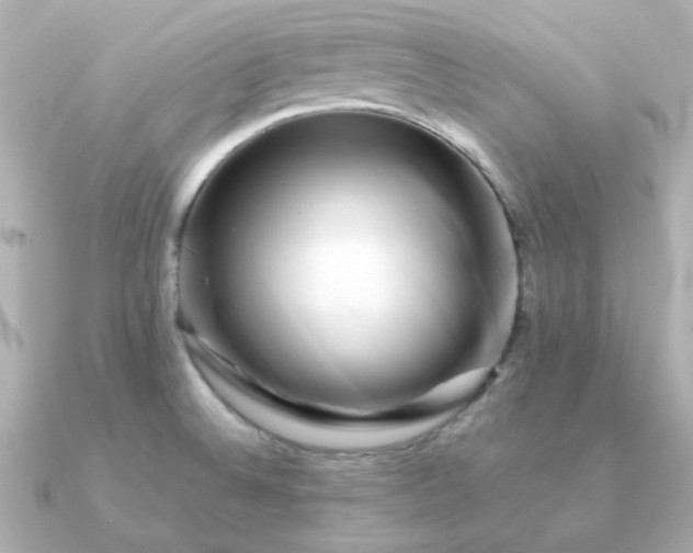 X0000090881524200708101335