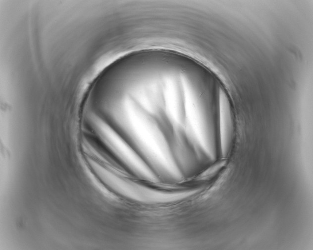 X0000090881525200708101335