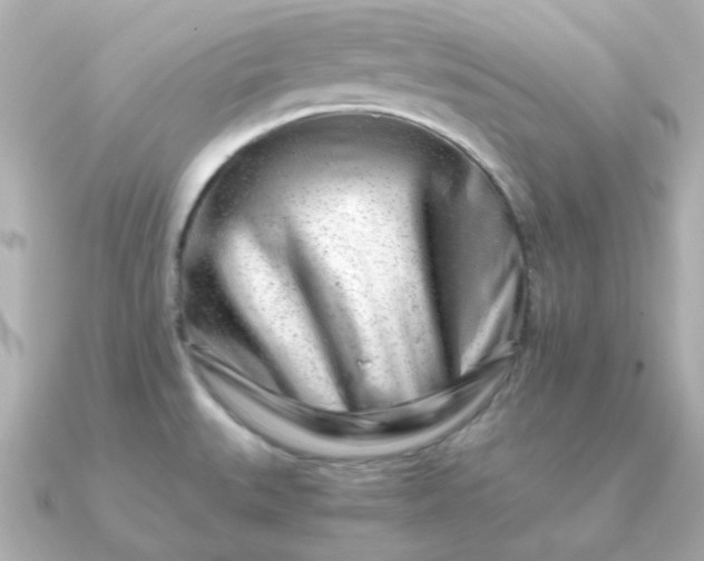 X0000090881527200708101335