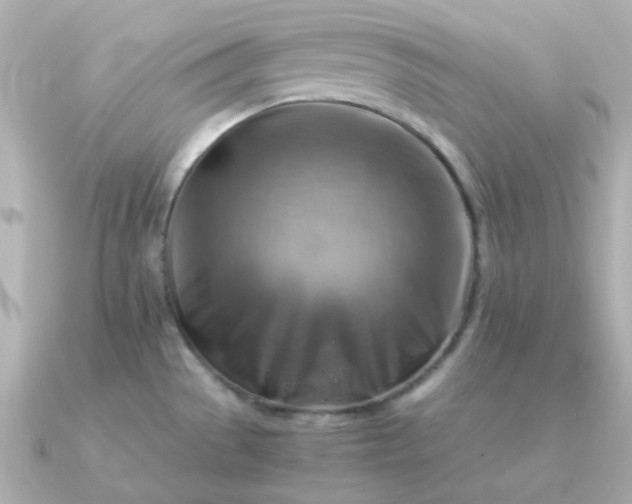 X0000090881529200708101335