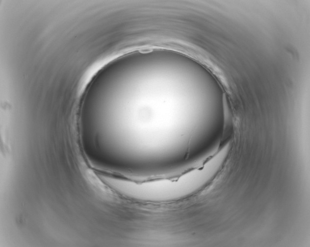 X0000090881530200708101335