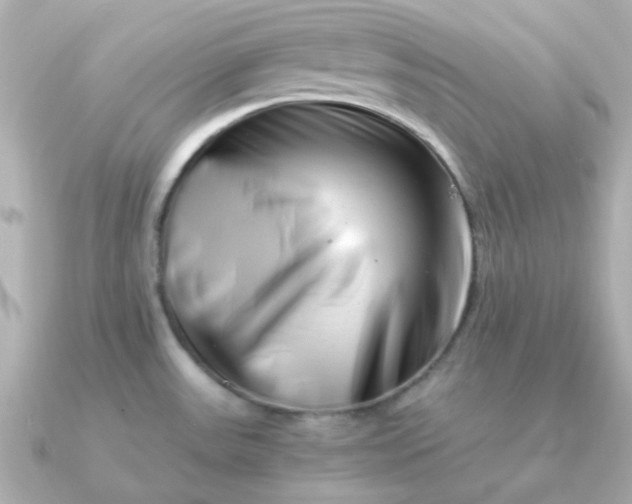 X0000090881531200708101335