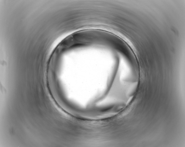 X0000090881533200708101335