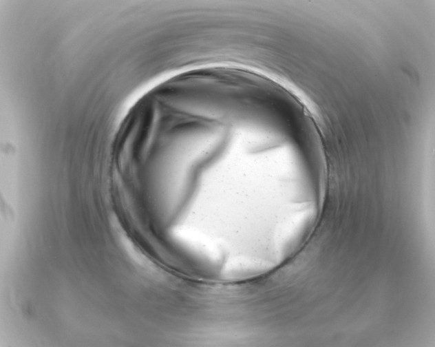 X0000090881534200708101336