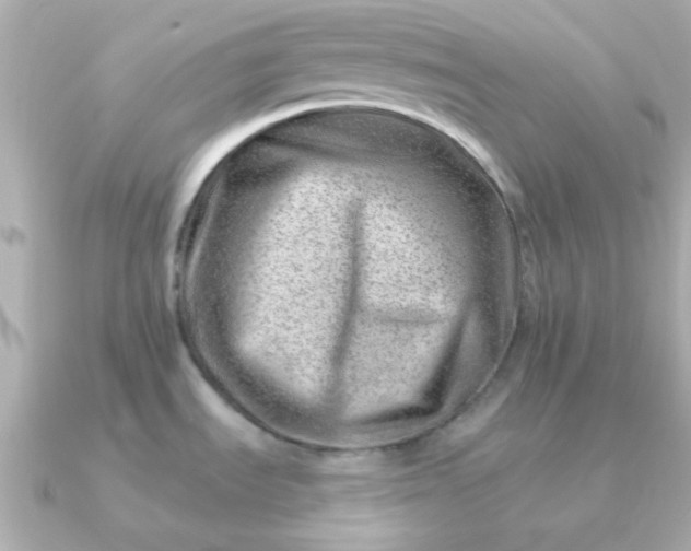 X0000090881535200708101336