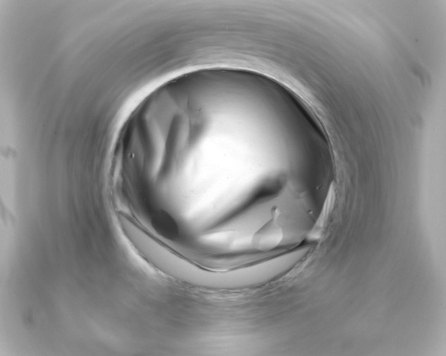 X0000090881536200708101336